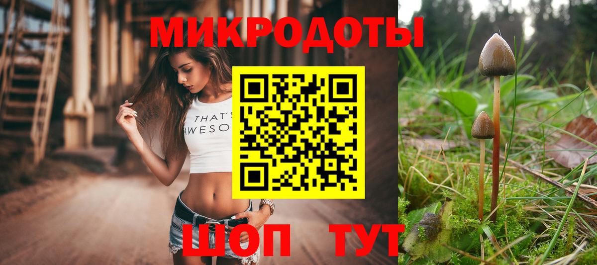 Галлюциногенные грибы Magic Shrooms  Вход с VPN  Советский 